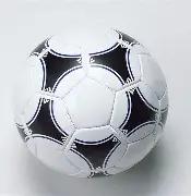 盖尔,加朵迎来新,成员,乐竞体育官网,乐竞体育平台,乐竞体育链接,乐竞体育官方