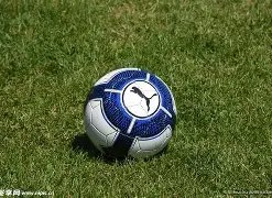 北京举办人,民电竞战略,发布会,乐竞体育官网,乐竞体育平台,乐竞体育链接,乐竞体育官方