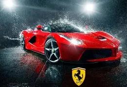 山东成武,金色银杏遍,城乡,乐竞体育官网,乐竞体育平台,乐竞体育链接,乐竞体育官方