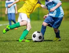 金莲花奖提,名引争议,现象剧抢镜,乐竞体育官网,乐竞体育平台,乐竞体育链接,乐竞体育官方