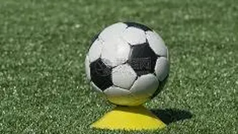 TCL华星2026年将推出首台喷墨打印OLED显示面板