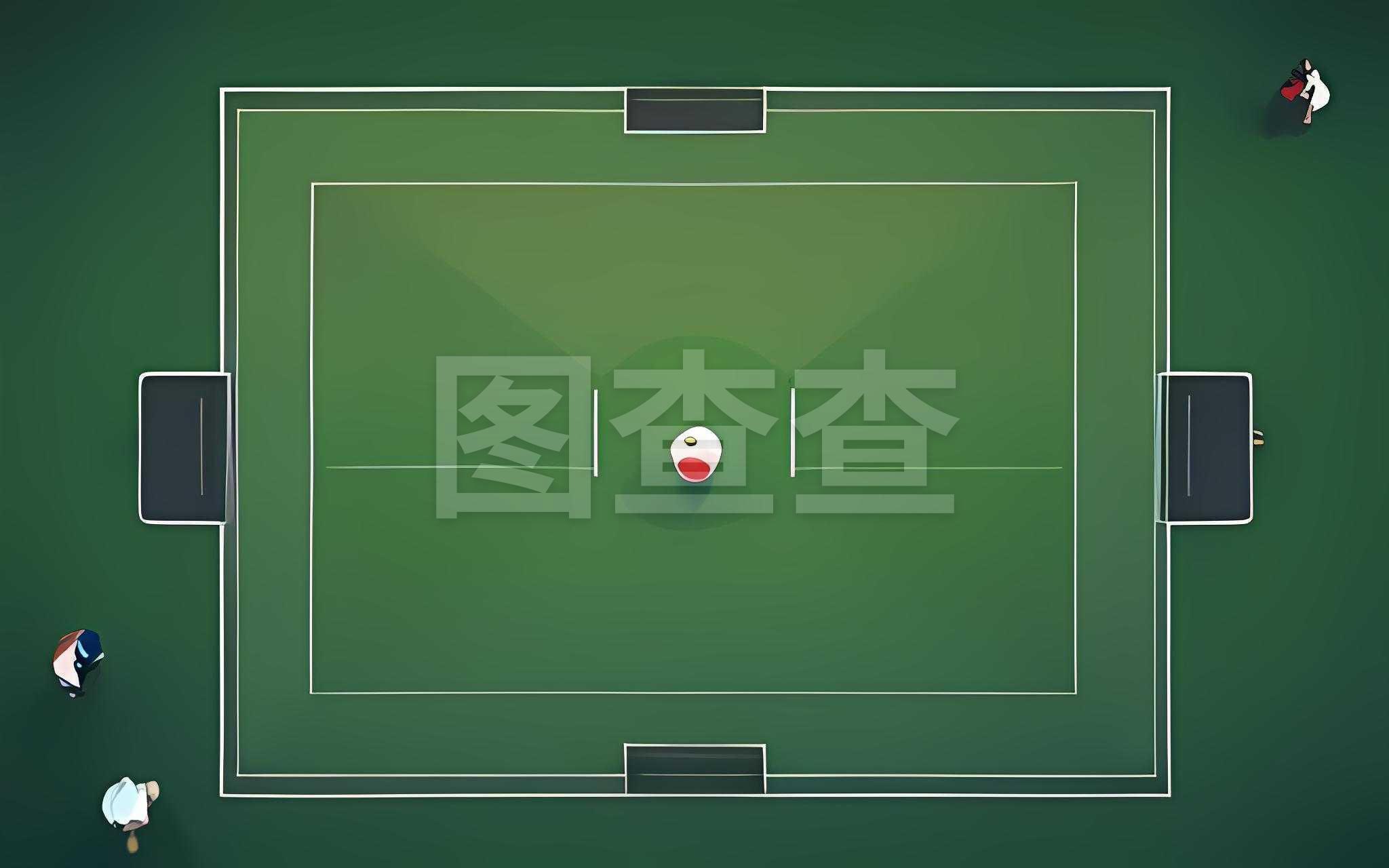 看到了内斯